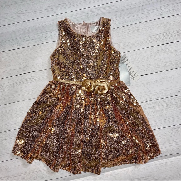 Rose gold sequin shop Disney toddle/ little girl dress size 5 - Picture 1 of 10